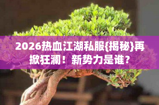 2026热血江湖私服图片