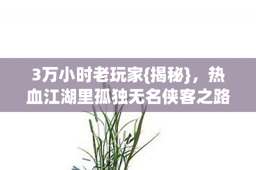 热血江湖里孤独无名侠客之路图片