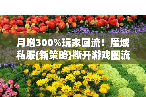 撕开游戏圈流量密码图片