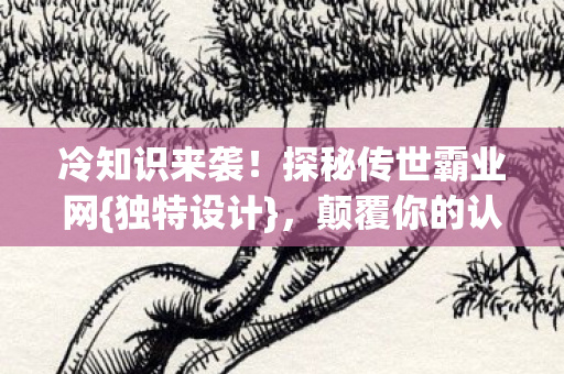 探秘传世霸业网图片