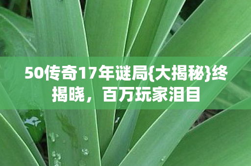 50传奇17年谜局{大揭秘}终揭晓,百万玩家泪目 50传奇17年谜局{大揭秘}终揭晓,百万玩家泪目