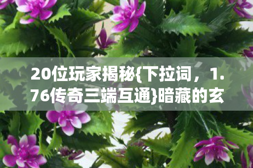 20位玩家揭秘{下拉词,1.76传奇三端互通}暗藏的玄机 20位玩家揭秘{下拉词,1.76传奇三端互通}暗藏的玄机