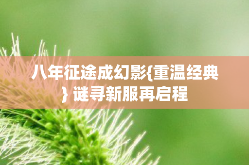 八年征途成幻影{重温经典} 谜寻新服再启程