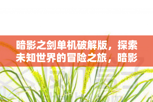 暗影之剑单机破解版，探索未知世界的冒险之旅，暗影之剑单机破解版，探索未知世界的冒险之旅