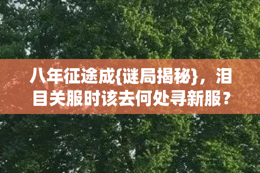 八年征途成{谜局揭秘}，泪目关服时该去何处寻新服？