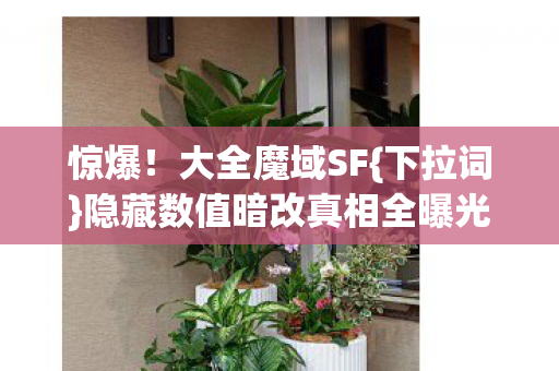 隐藏数值暗改真相全曝光图片