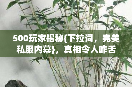 500玩家揭秘图片