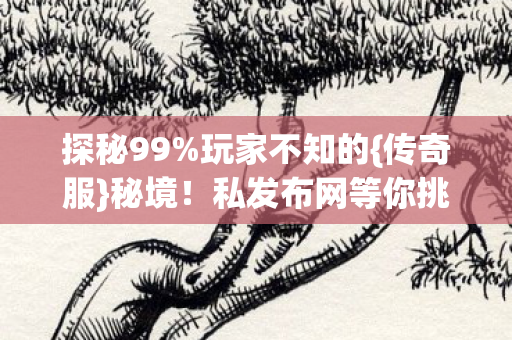 探秘99%玩家不知的{传奇服}秘境！私发布网等你挑战
