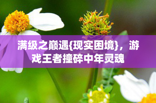 游戏王者撞碎中年灵魂图片