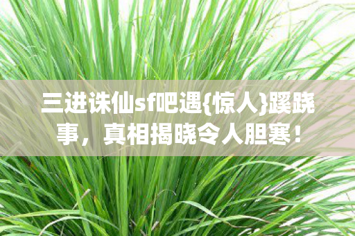 三进诛仙sf吧遇图片