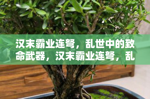 汉末霸业连弩,乱世中的致命武器,汉末霸业连弩,乱世中的致命武器 汉末霸业连弩,乱世中的致命武器,汉末霸业连弩,乱世中的致命武器