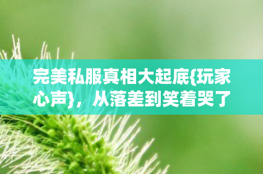 完美私服真相大起底图片