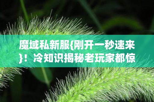 冷知识揭秘老玩家都惊了图片