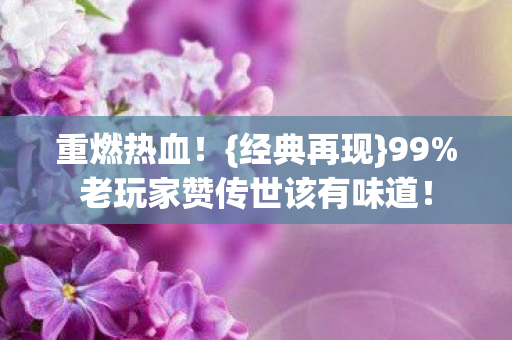 老玩家赞传世该有味道图片