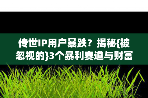3个暴利赛道与财富密码图片