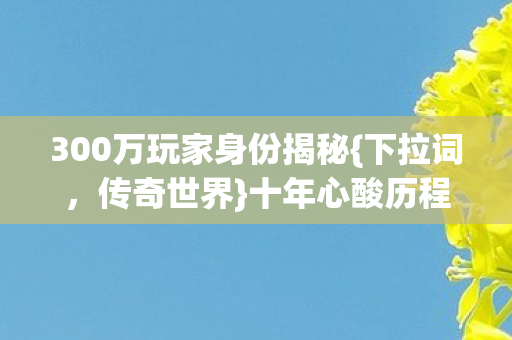 300万玩家身份揭秘图片