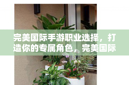 完美国际手游职业选择，打造你的专属角色，完美国际手游职业选择，打造你的专属角色