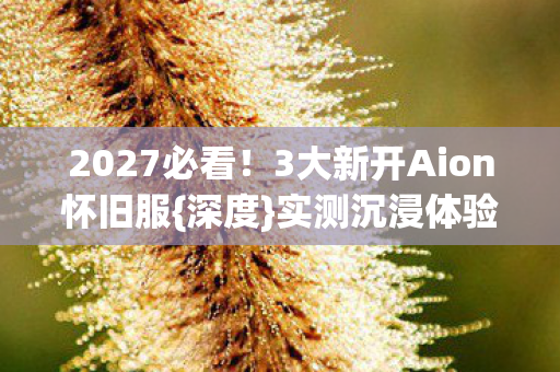 3大新开Aion怀旧服图片