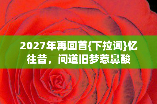 2027年再回首图片