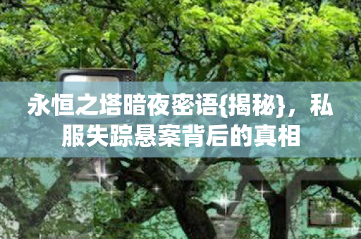 永恒之塔暗夜密语{揭秘},私服失踪悬案背后的真相 永恒之塔暗夜密语{揭秘},私服失踪悬案背后的真相