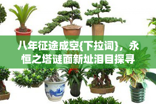 八年征途成空{下拉词},永恒之塔谜面新址泪目探寻 八年征途成空{下拉词},永恒之塔谜面新址泪目探寻
