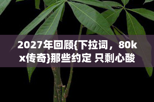 2027年回顾{下拉词，80kx传奇}那些约定 只剩心酸回忆
