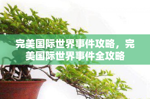 完美国际世界事件攻略,完美国际世界事件全攻略 完美国际世界事件攻略,完美国际世界事件全攻略