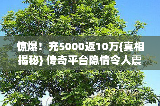 惊爆！充5000返10万{真相揭秘} 传奇平台隐情令人震惊