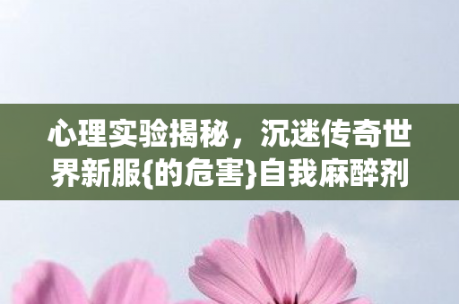 沉迷传奇世界新服图片