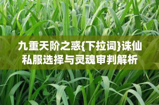 诛仙私服选择与灵魂审判解析图片