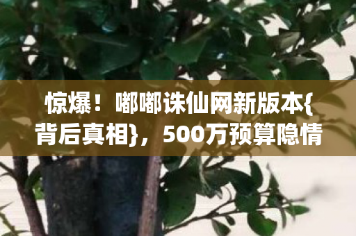 500万预算隐情惊人图片
