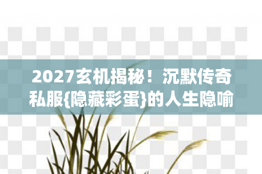 2027玄机揭秘图片
