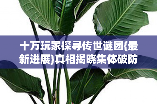 十万玩家探寻传世谜团图片