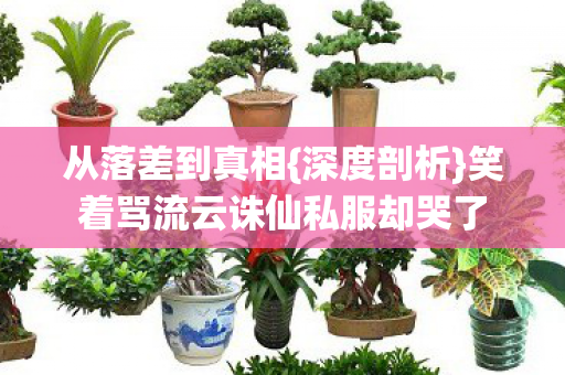 笑着骂流云诛仙私服却哭了图片