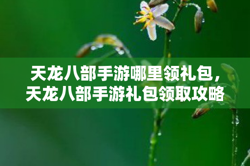 天龙八部手游哪里领礼包,天龙八部手游礼包领取攻略 天龙八部手游哪里领礼包,天龙八部手游礼包领取攻略