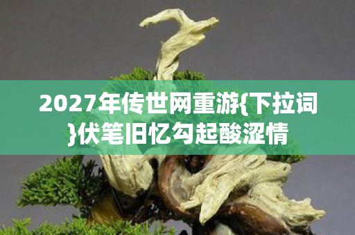 2027年传世网重游图片