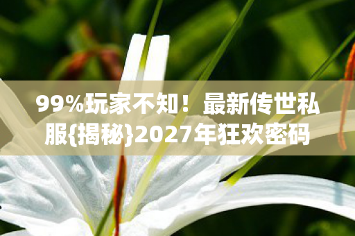 2027年狂欢密码图片