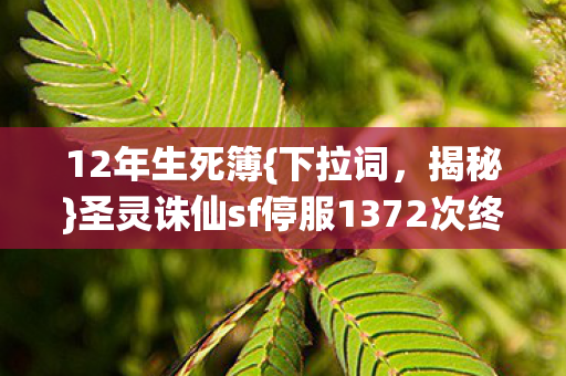 圣灵诛仙sf停服1372次终章泪目图片
