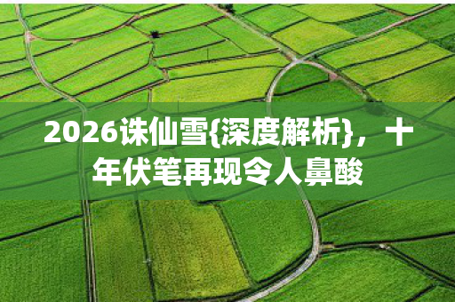 十年伏笔再现令人鼻酸图片