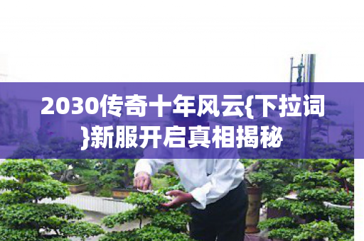 2030传奇十年风云图片