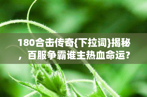 百服争霸谁主热血命运图片