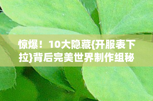 背后完美世界制作组秘密图片