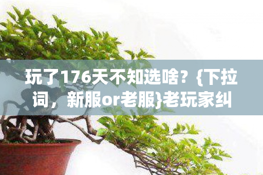 玩了176天不知选啥图片