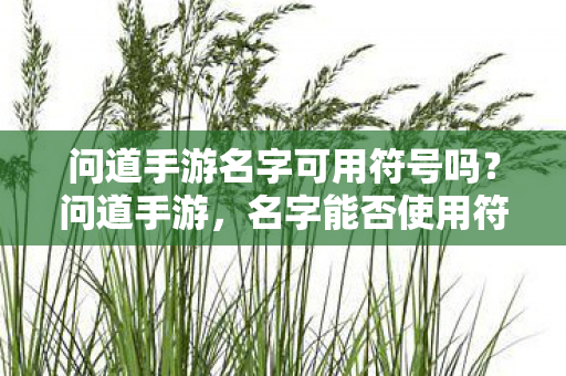 问道手游名字可用符号吗?问道手游,名字能否使用符号? 问道手游名字可用符号吗?问道手游,名字能否使用符号?
