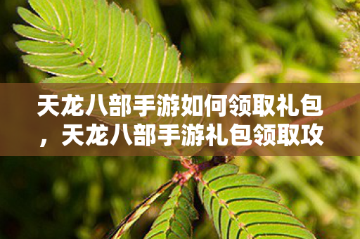 天龙八部手游如何领取礼包,天龙八部手游礼包领取攻略 天龙八部手游如何领取礼包,天龙八部手游礼包领取攻略