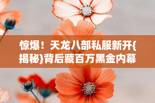 背后藏百万黑金内幕图片