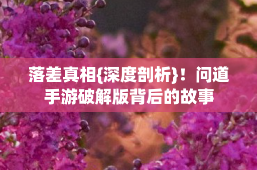 落差真相{深度剖析}!问道手游破解版背后的故事 落差真相{深度剖析}!问道手游破解版背后的故事