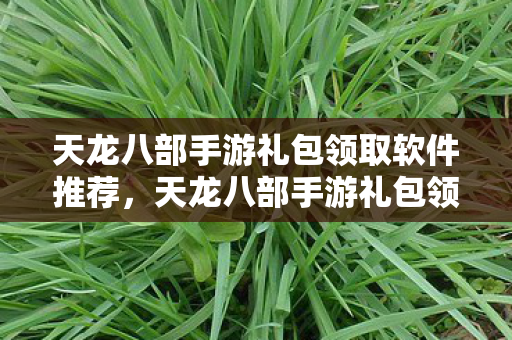 天龙八部手游礼包领取软件推荐图片