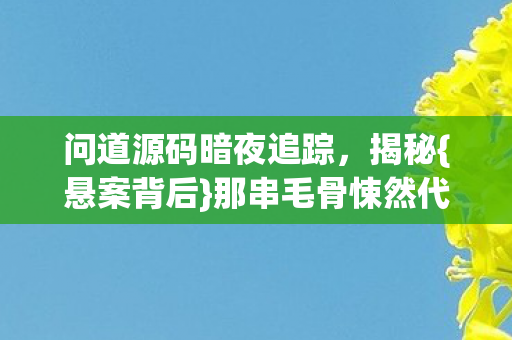 问道源码暗夜追踪,揭秘{悬案背后}那串毛骨悚然代码 问道源码暗夜追踪,揭秘{悬案背后}那串毛骨悚然代码