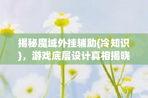 游戏底层设计真相揭晓图片